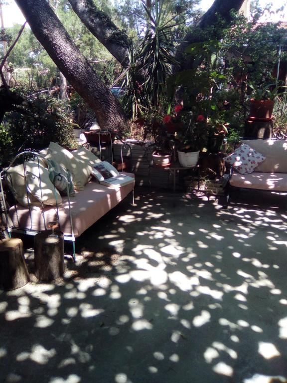 Sous les pins, Villeneuve-lès-Avignon