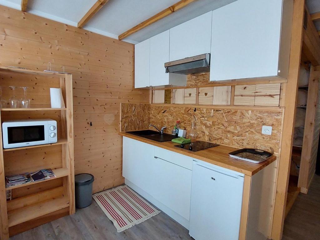 Studio cosy avec balcon sud et animaux admis, proche pistes - FR-1-516-204 - 2
