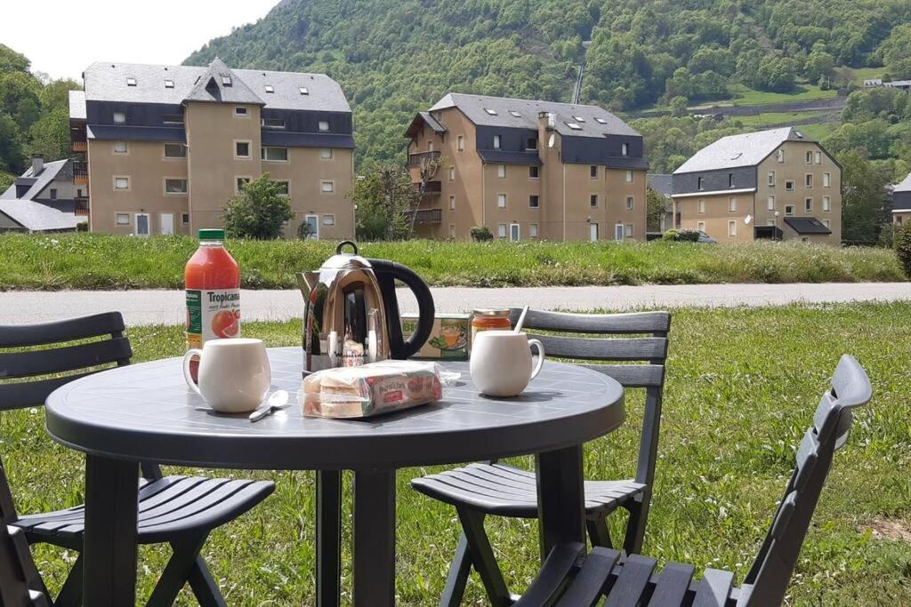 REZ DE JARDIN CALME ST LARY PROCHE TELECABINE - 5