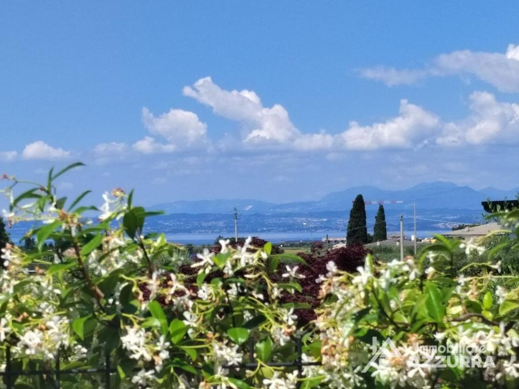 Villetta Batik - Immobiliare Azzurra - 3