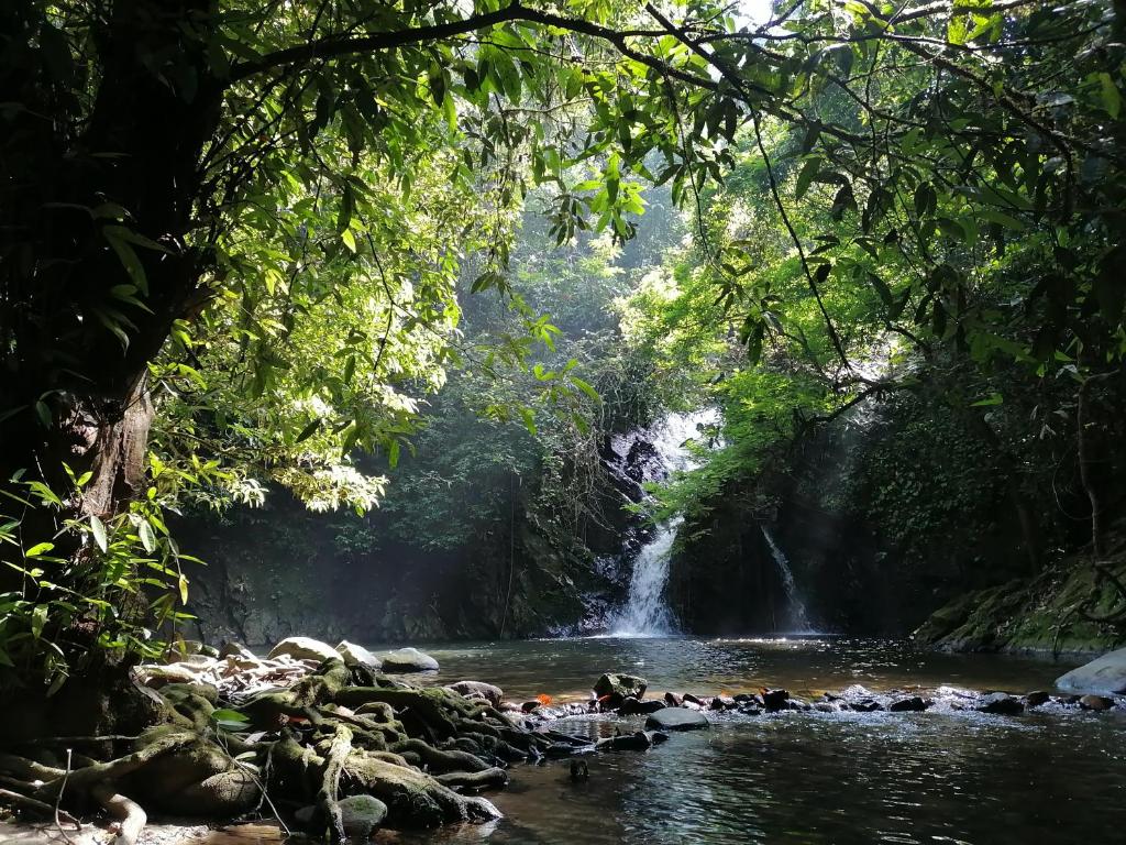 Royal Belum Mystical photo