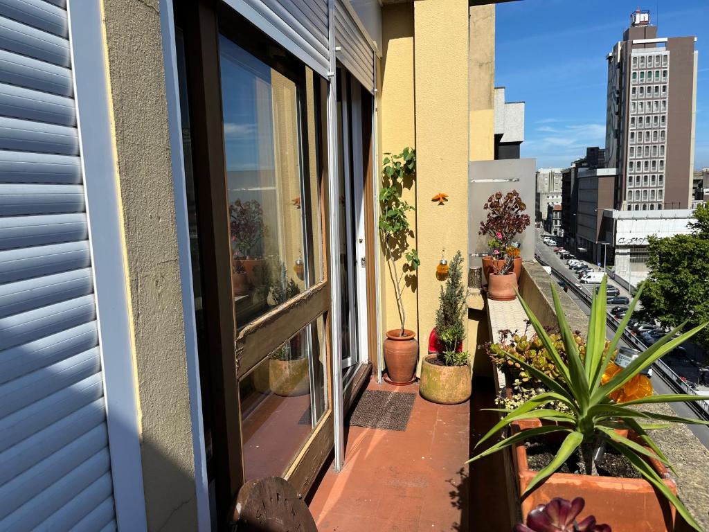 Apartamento Trindade photo