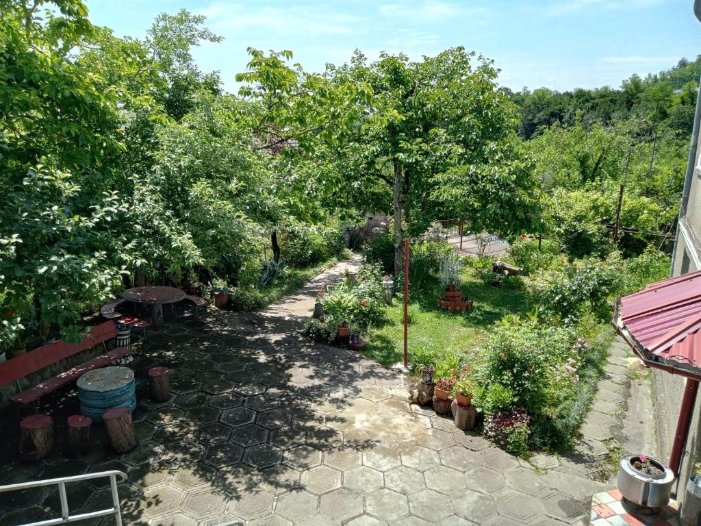 Nunu's Guesthouse photo