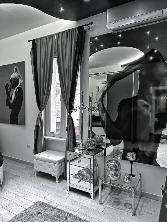 LUX apartment in downtown of Belgrade - 2