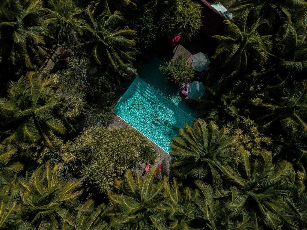 ABEZZA Resort And Adventure Spa, Maskall