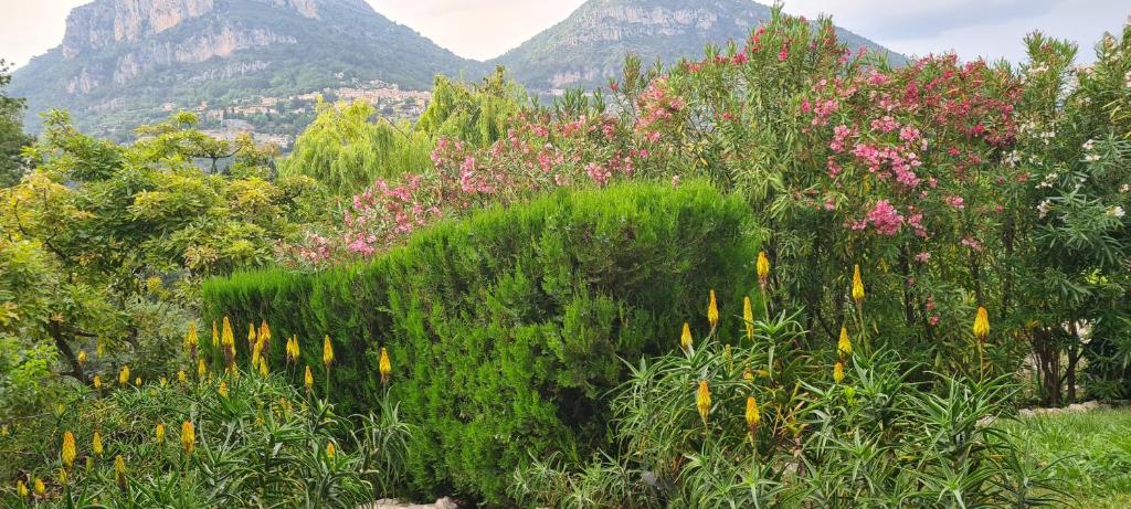 La Gaude bas de villa jardin 6 personnes - 2