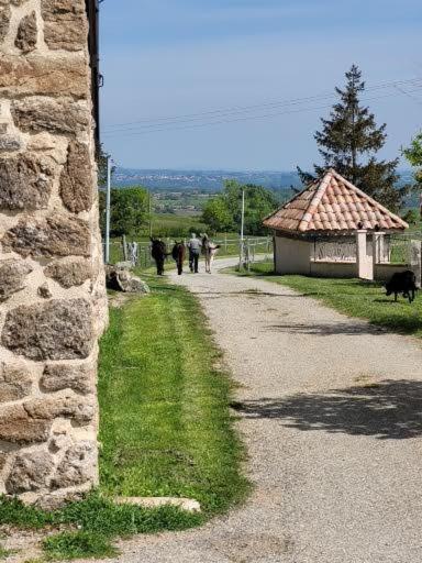 Ferme de la Combe - The Goldy's Farm photo