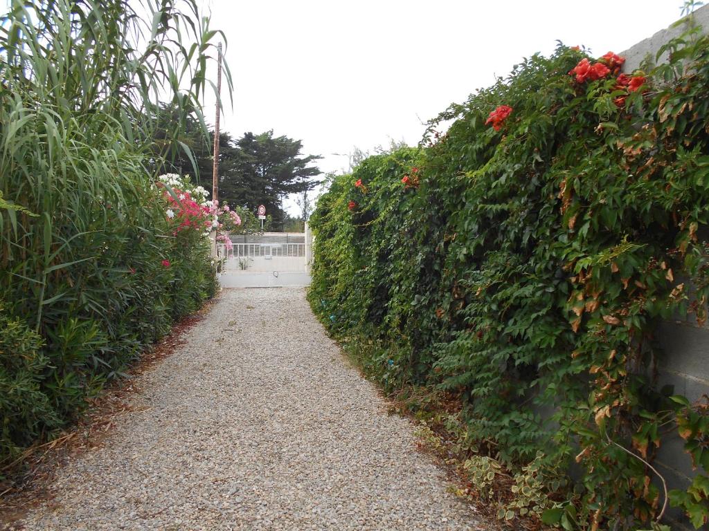 Plein SUD, 5 mn de la mer, grand logement 8 personnes - 1