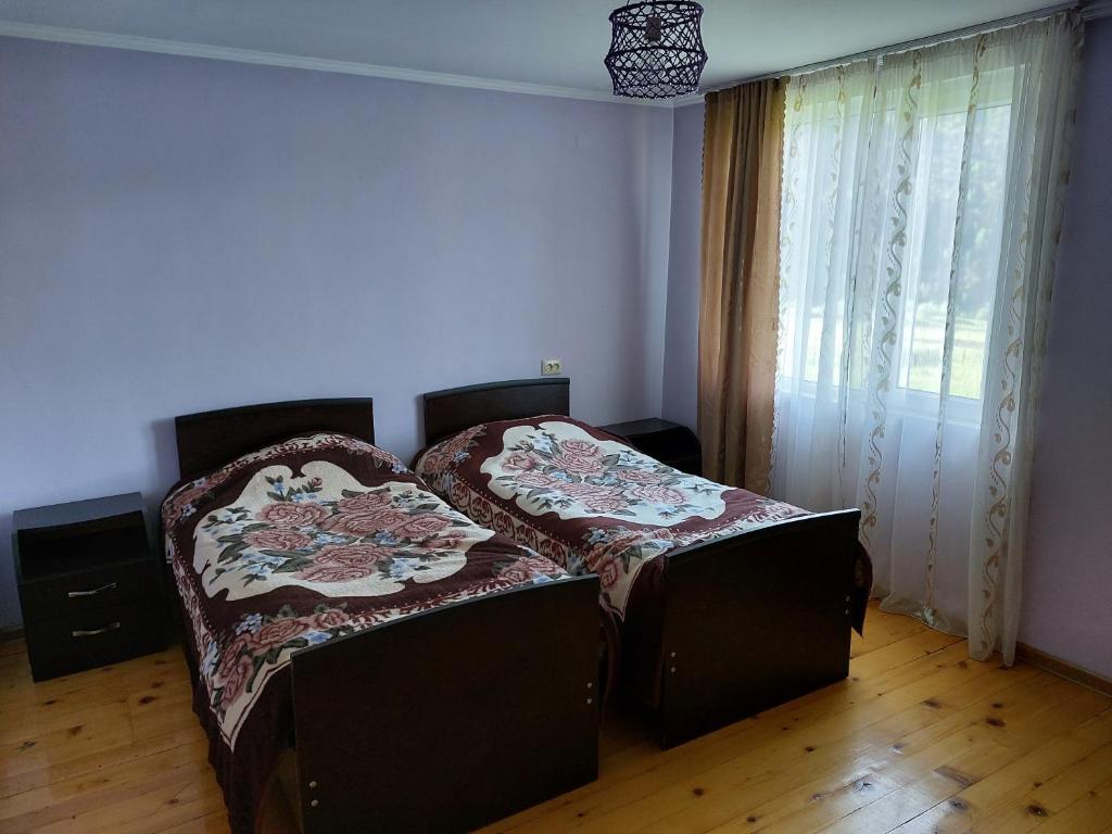 Bombora photo
