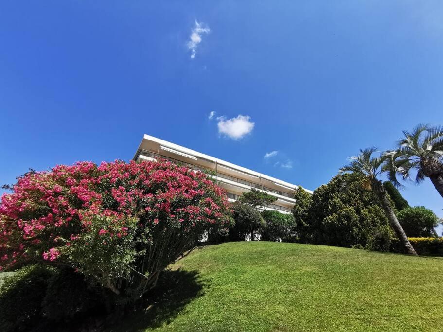 2 bedrooms seafront - 3