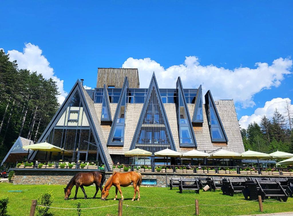 Pino Nature Hotel, BW Premier Collection — Hotel in Sarajevo