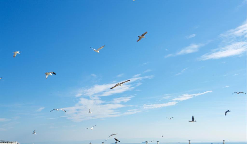 Surrounding environment