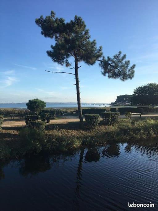 Mobilhome 6 personnes Cap Ferret - 5