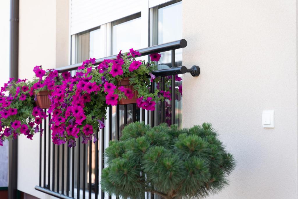 JEDRO - Apartman sa garažnim parkingom - 3