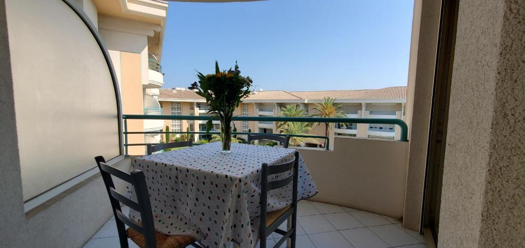 OPEN, T2 42m2, 4 personnes, clim, balcon, piscine - 5