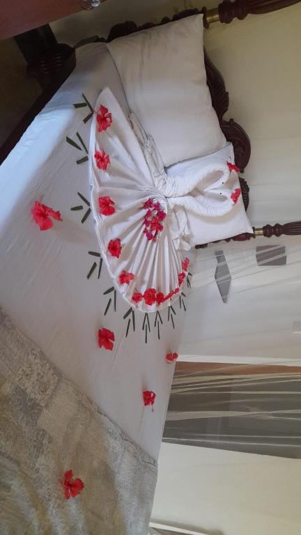 Sano rich Lagoon Villa photo
