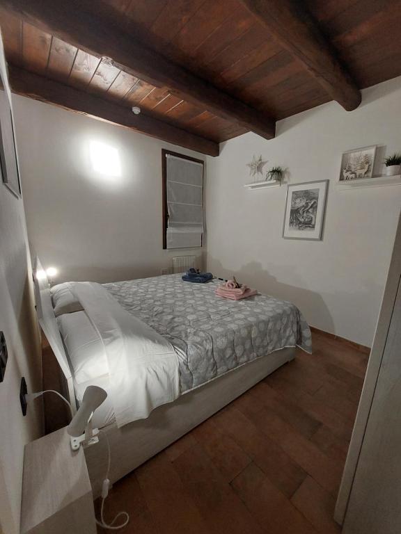 Dodo's House - 5