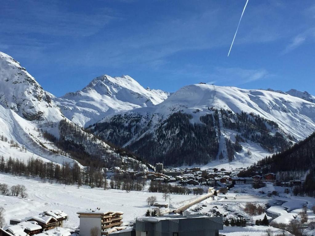 Confortable appartement skis aux pieds, wifi, animaux admis, parking, 3 pers La Daille - FR-1-694-238 - 2