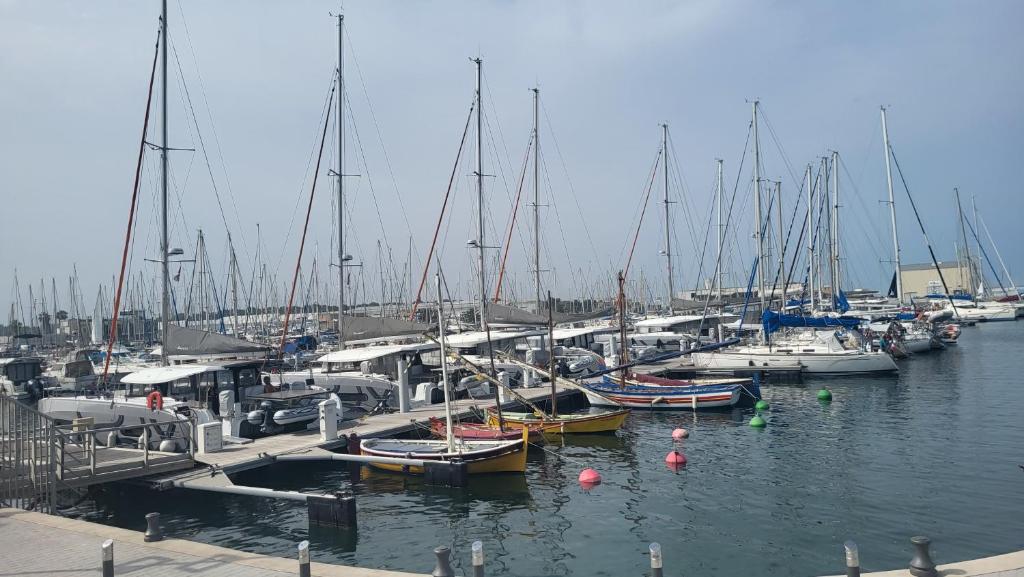 Adorable petit appartement avec magnifique vue sur le port de Canet - 4