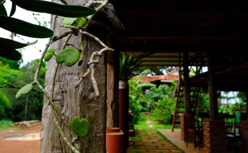 Plei Homestay & Cafe photo