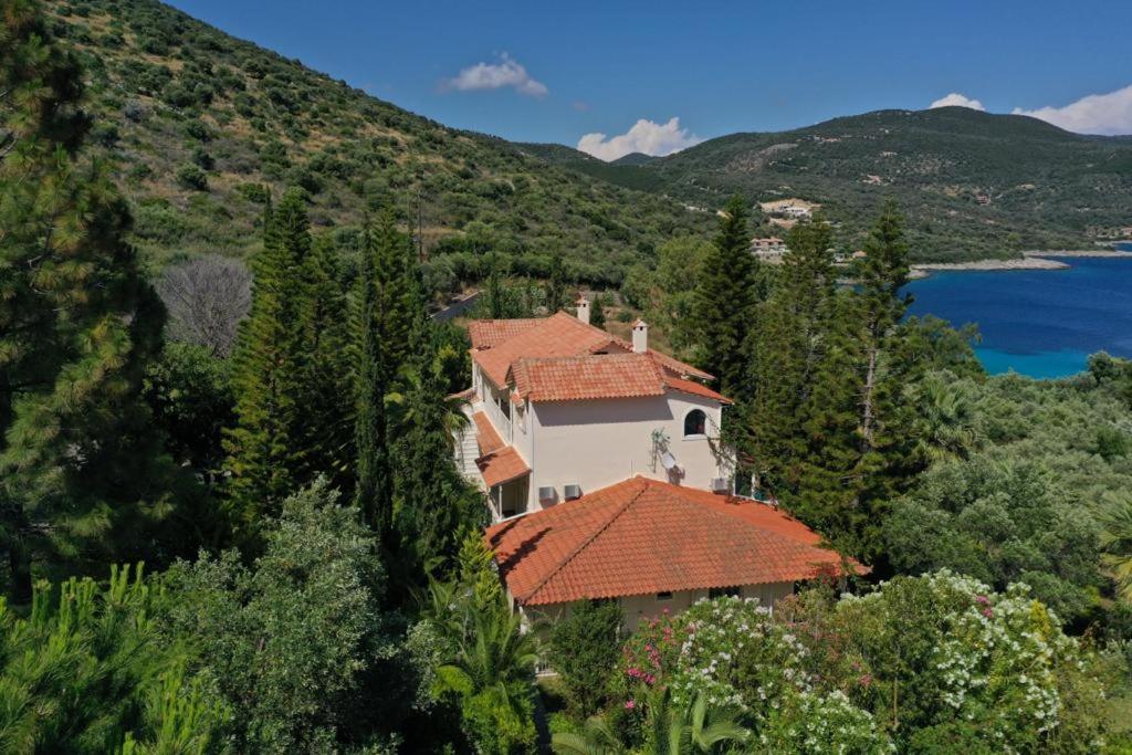 VKastri photo