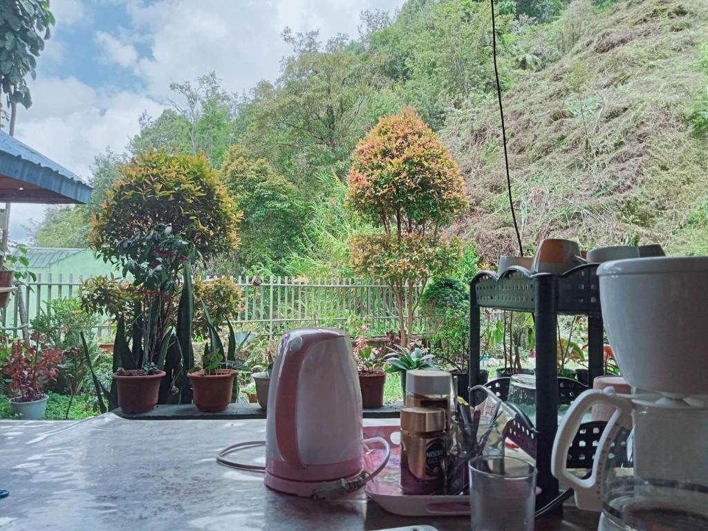 Banaue Pink Eco hostel photo