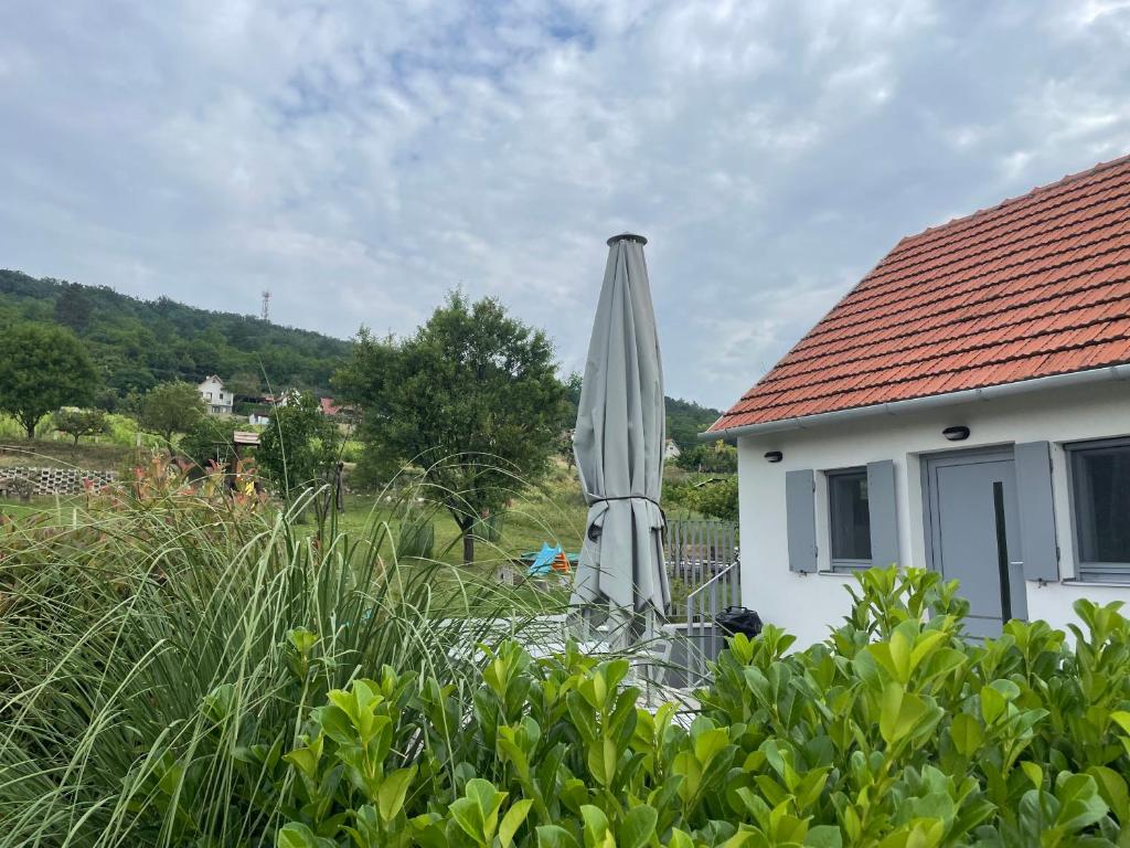 Panoramic tranquility on hill of vineyard