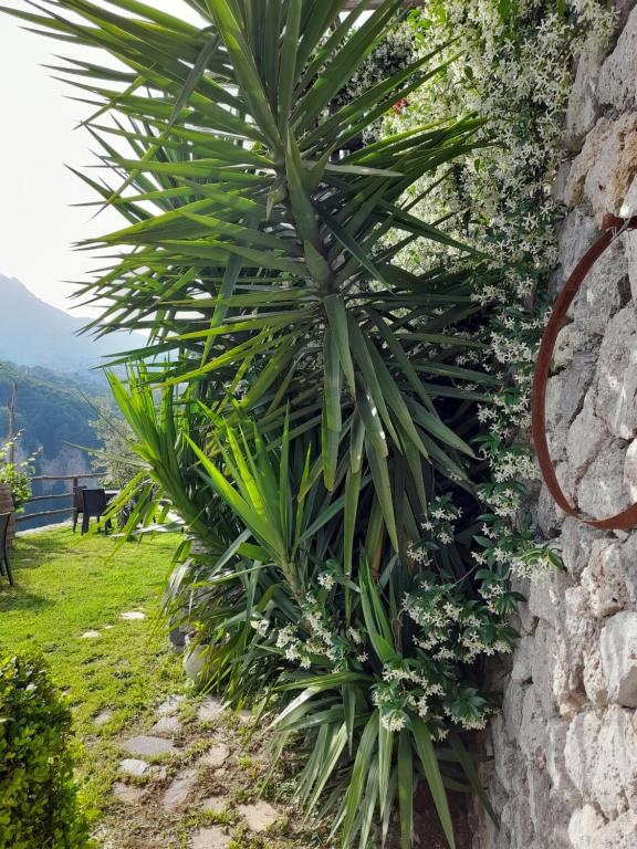 Agriturismo Orrido di Pino photo