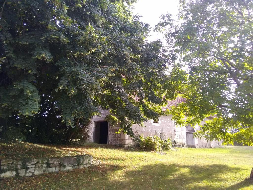 Guestroom Luçay-le-Mâle, 2 pièces, 5 personnes - FR-1-591-530