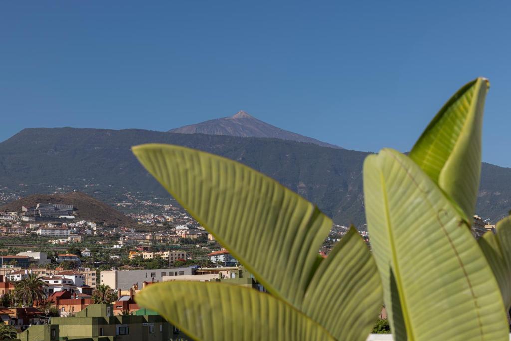 Hotel Marte photo