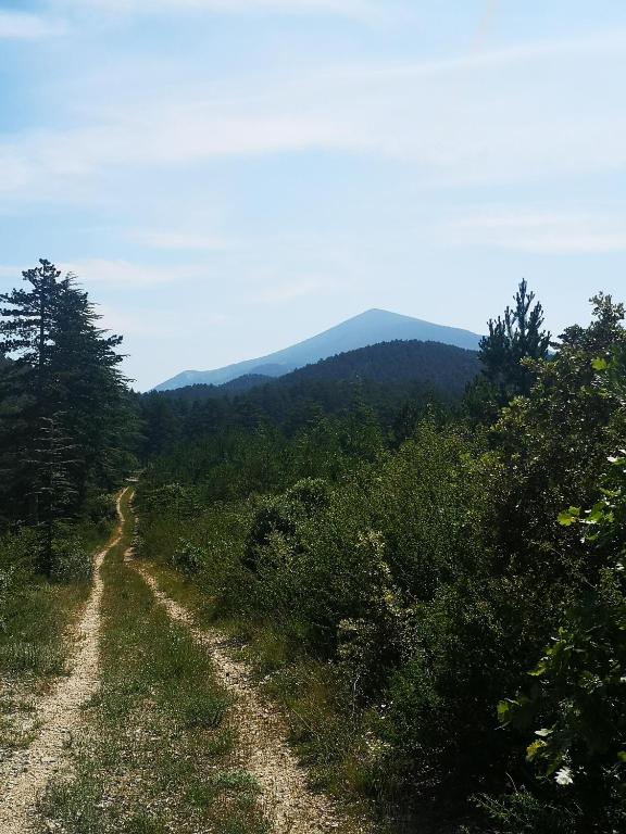 Le Silence Du Ventoux - 5