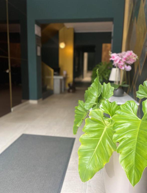Neo Hotel Boutique photo