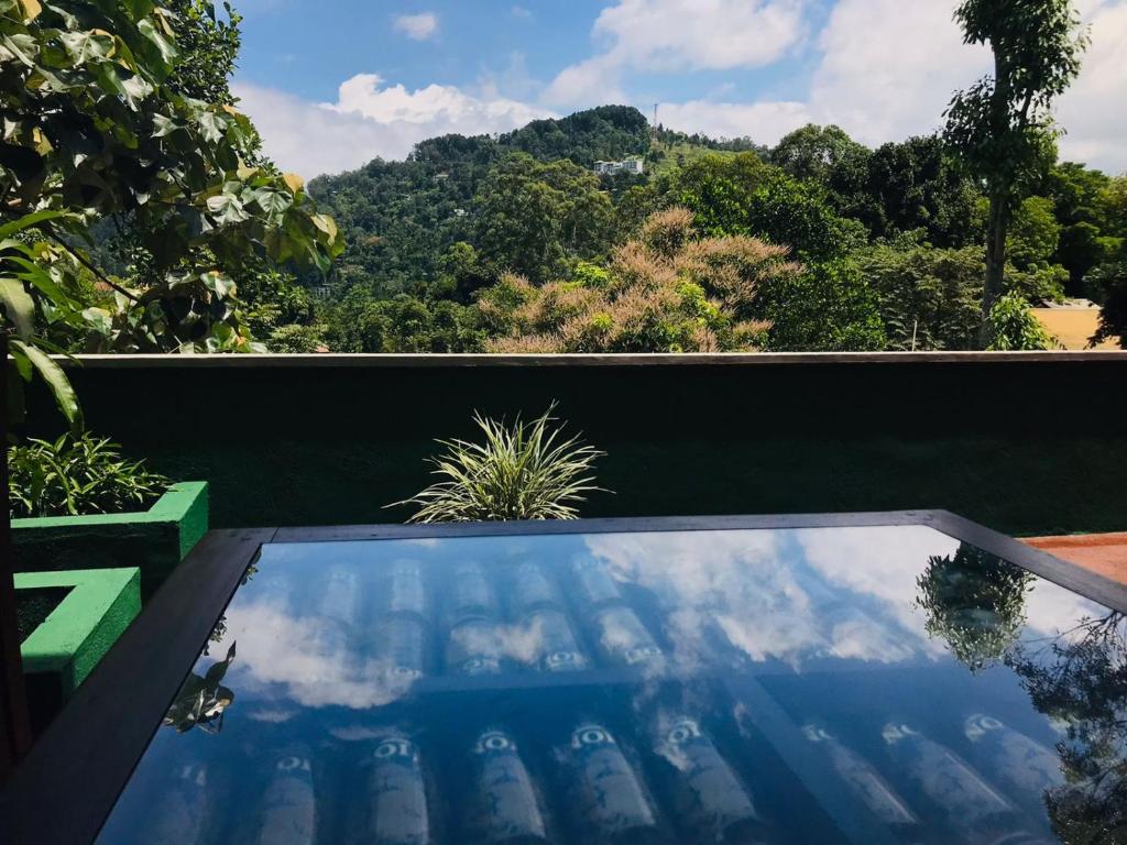 Cozy Homestay photo