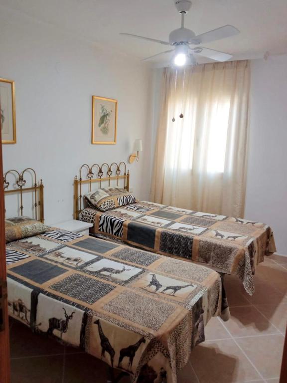 Apartamento Urb La Felicidad - 5