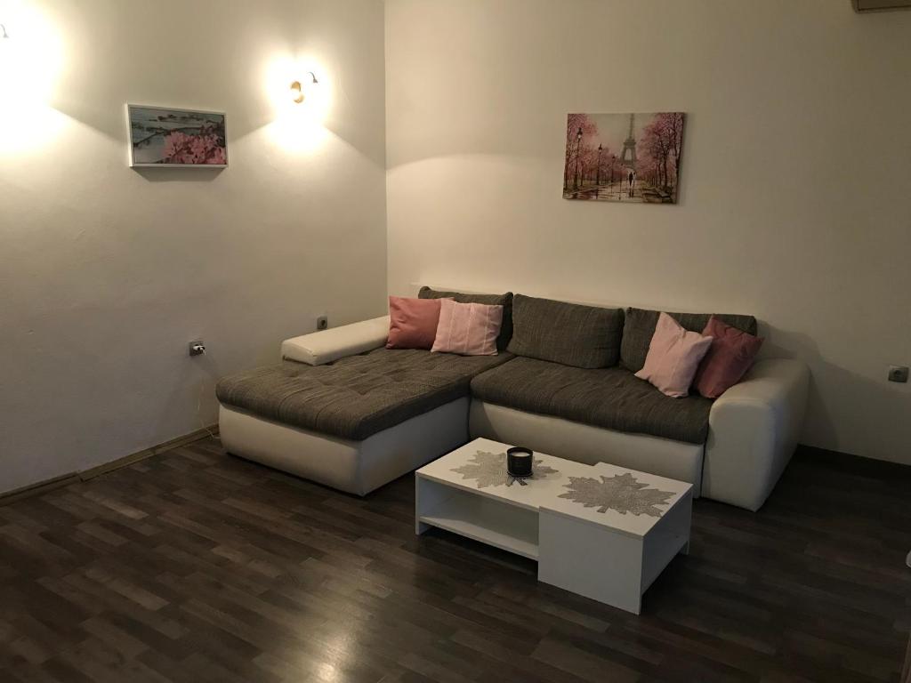 Pocanic's apartment - 5