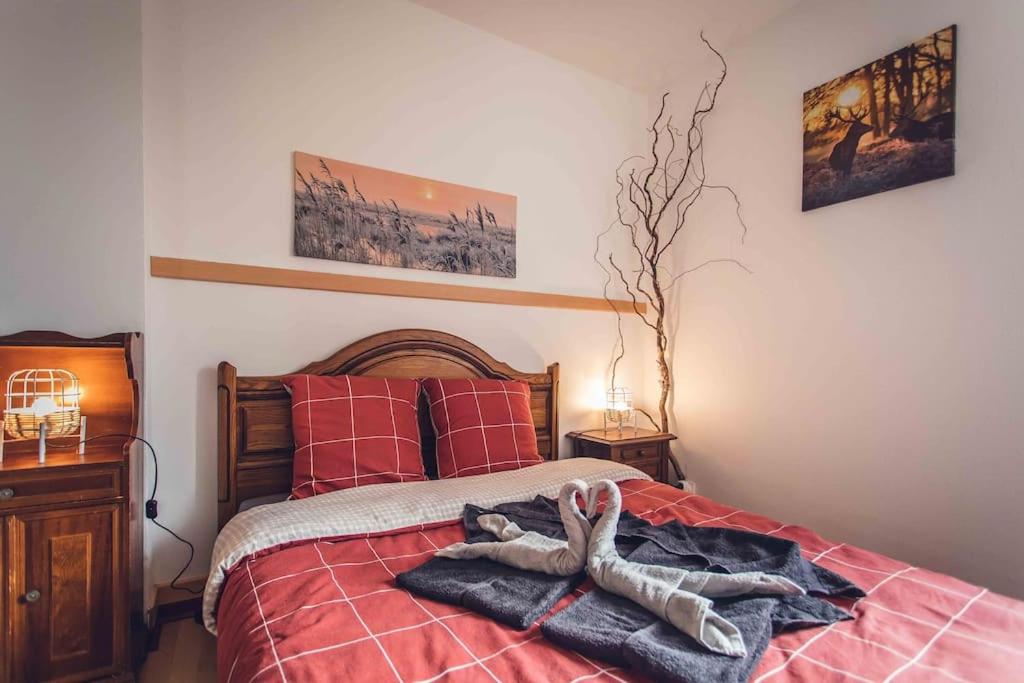 Studio cosy proche centre-ville et gare - 1
