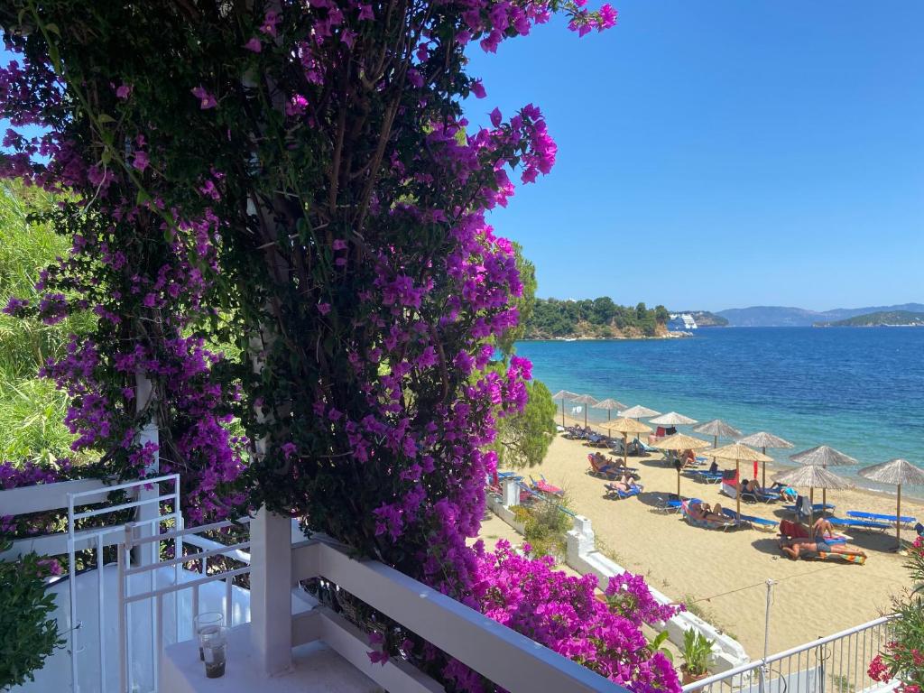 Achladies Beach Apartment photo