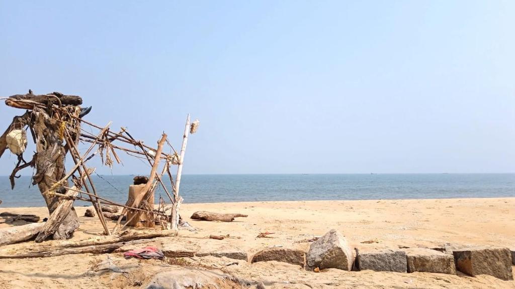 Cherai Beach Valley photo