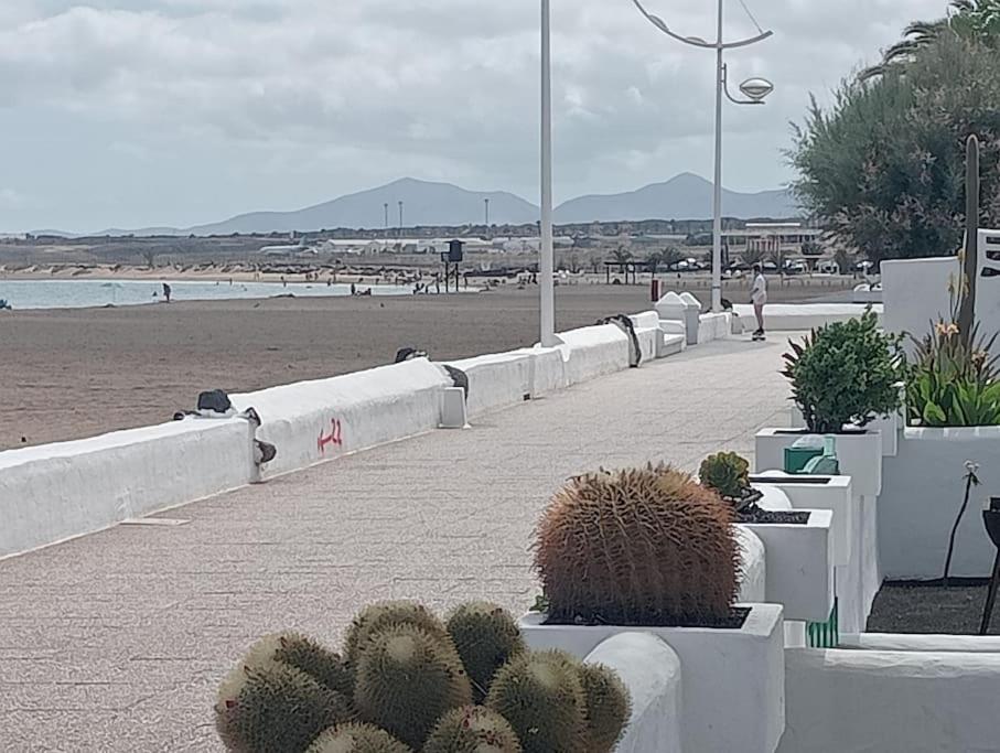 Sol y terraza - 2