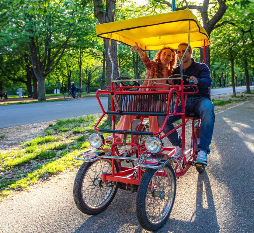 Surrounding environment