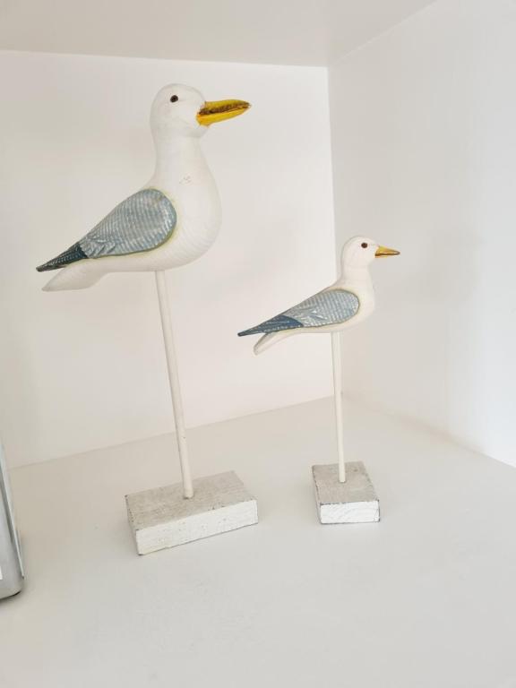 Villa les mouettes, au bord de la mer. - 4