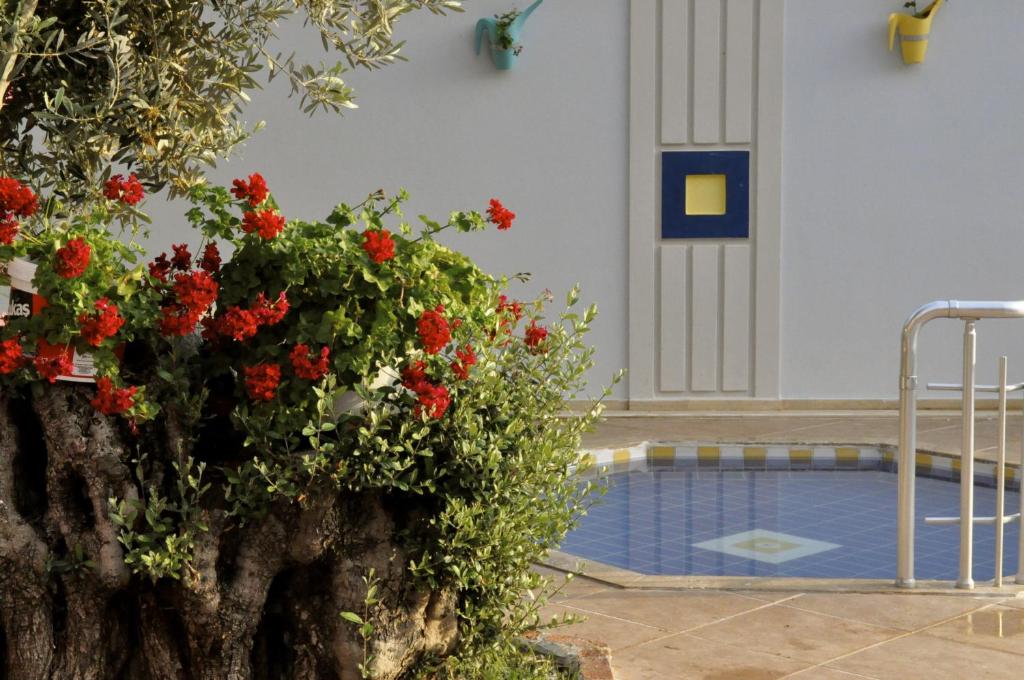 Magic Tulip Beach Hotel photo