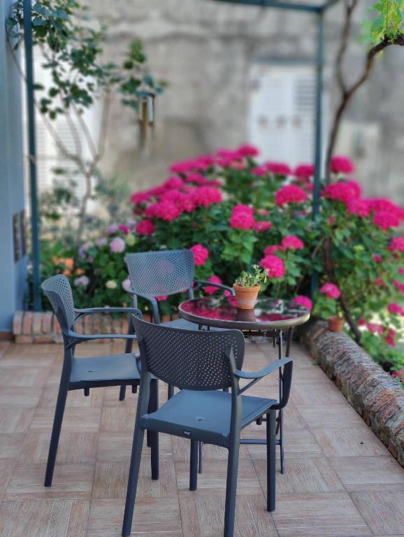Miro guesthouse - 5