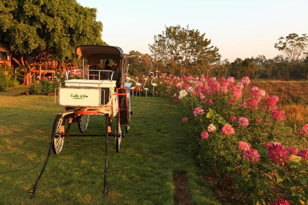 ทัศนียภาพ