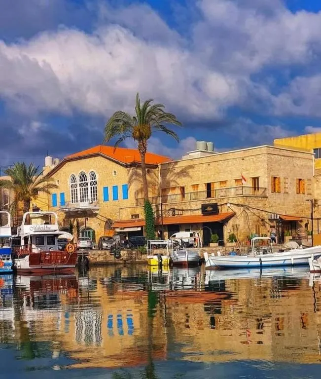 Dar Alice, hotel in Soûr