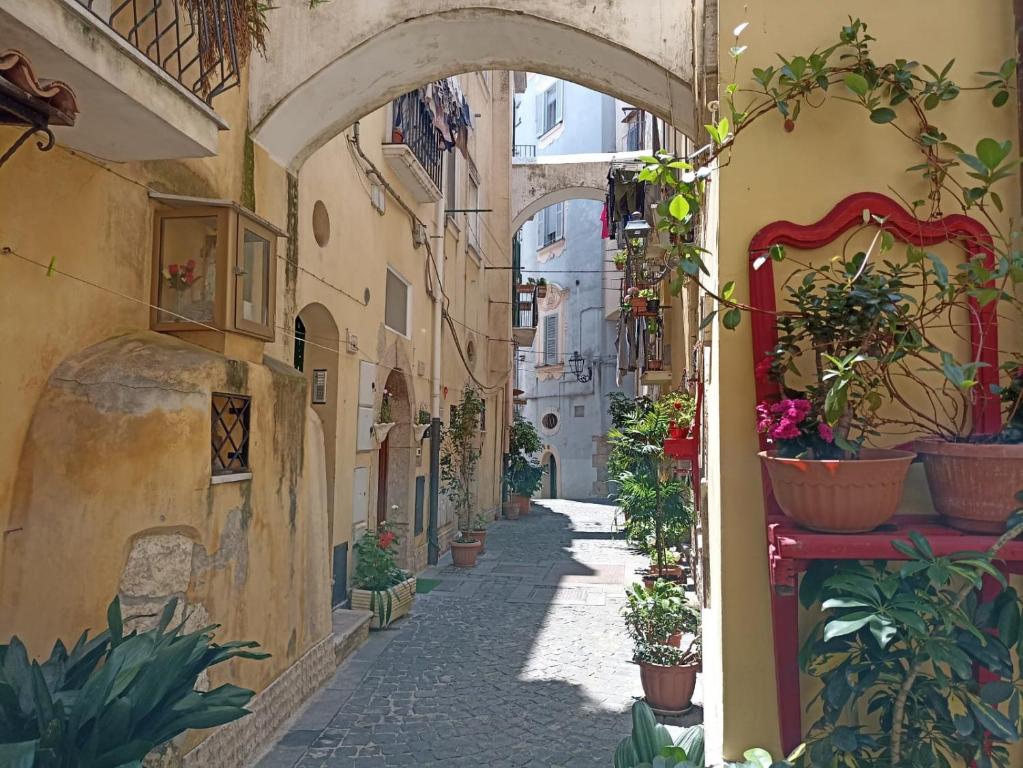 Central GH Formia photo