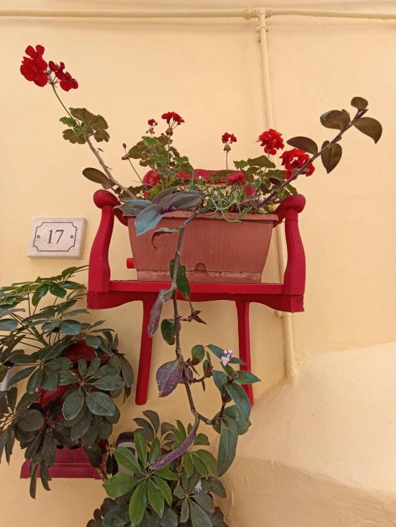 Central GH Formia photo