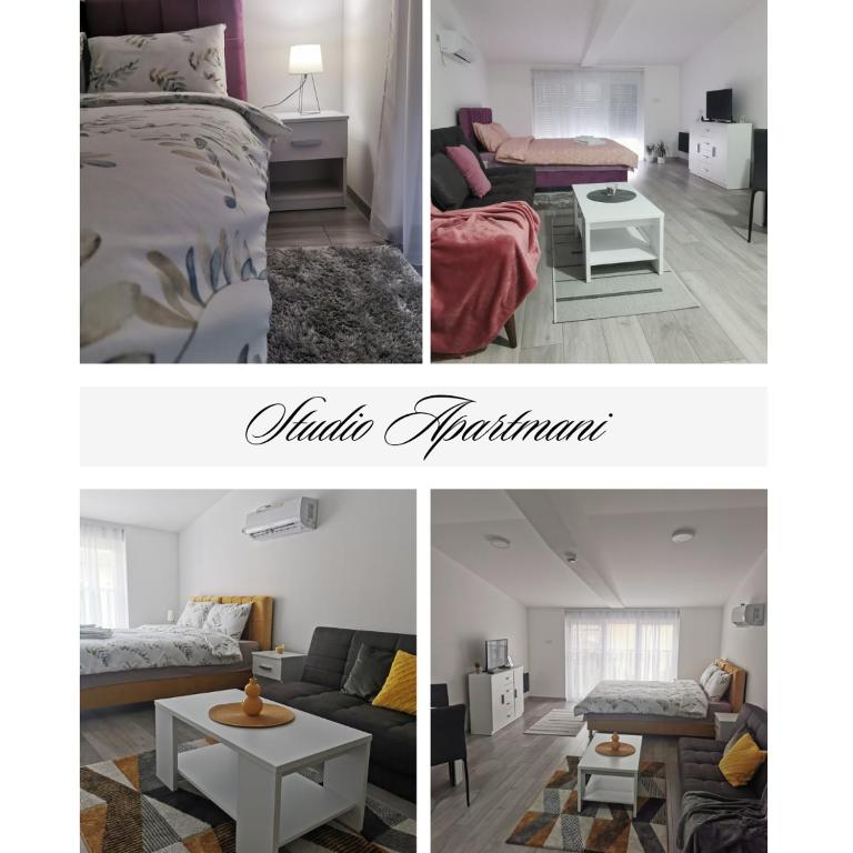 Studio apartmani Banja Koviljaca - 1