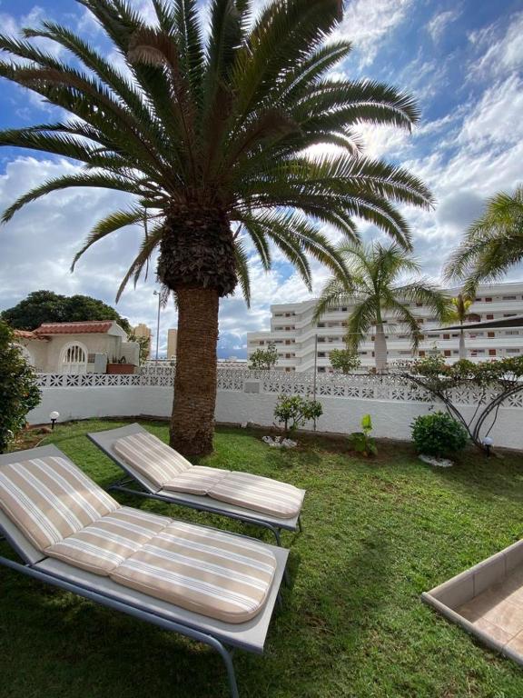 Nice Apartment in Las Americas/Costa Adeje 1 - 2