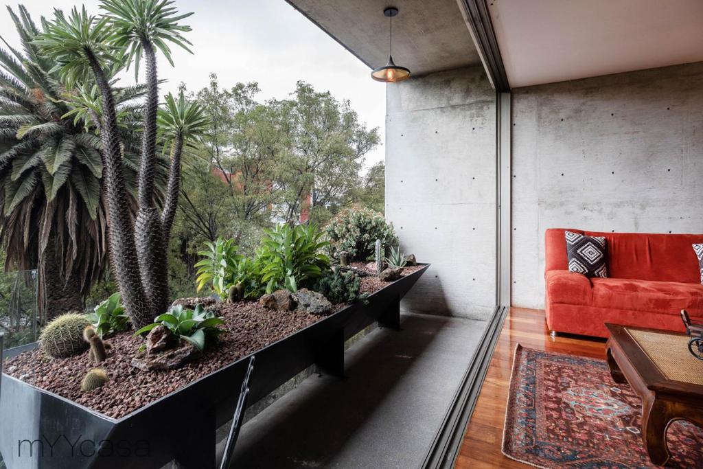 Destination Condesa @Tamaulipas Loft photo